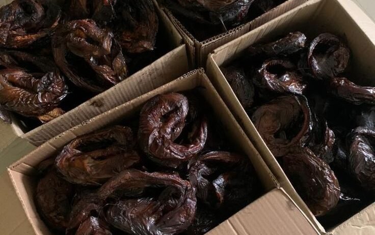 Naturally processed dried fish with exceptional taste, quality, and an extended shelf life.