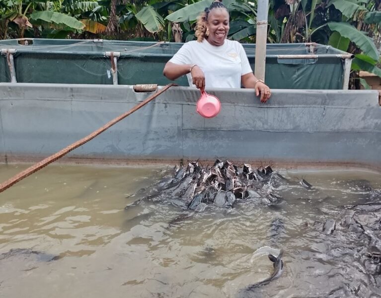 Catfish